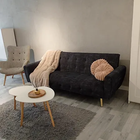 شقة Superjednoska Spodek Centrum Nowoczesny Wifi كاتوفيتسه